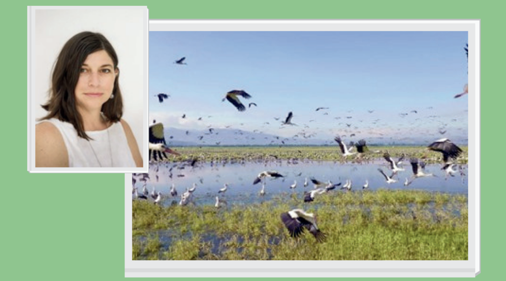 If you're in Wyomissing PA, we look forward to seeing you on March 25!